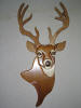 Deer/Head Mount